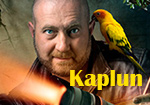 Workshop mit Kaplun