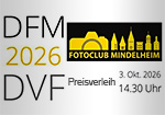 DFM 26