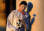Harlekin