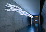 Arp