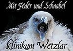 Vogelporträts