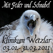 Vogelportraets